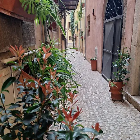 Lägenhet Casa Napoleone